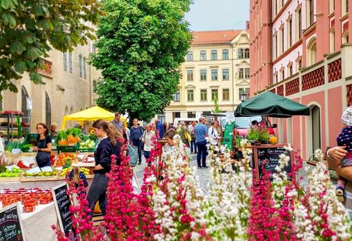 Titel Grünmarkt 2022  klein