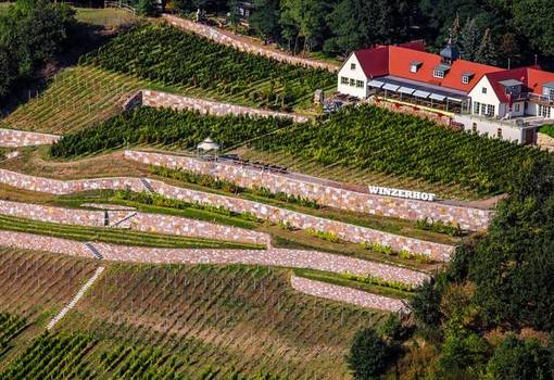 PM 147 2022 Weingut Herrenberg zu Gast im Meißner Weinpavillon