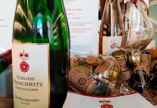 Schloss Proschwitz im Weinwürfel