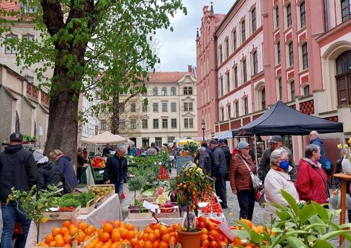 PM 97 2022 Seniorenvertretung stellt ihre Angebote auf dem Meißner Grünmarkt vor