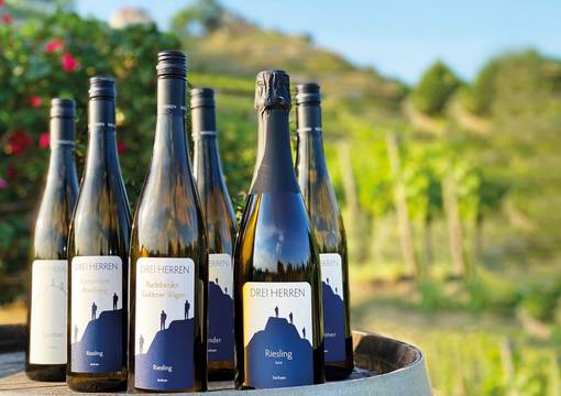 Weinpräsentation des Weingutes DREI HERREN