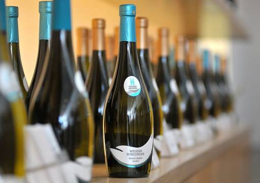 PM 138 2022 Winzergenossenschaft zieht in den Wein Pavillon ein