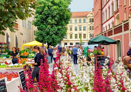 Titel Grünmarkt 2022  klein