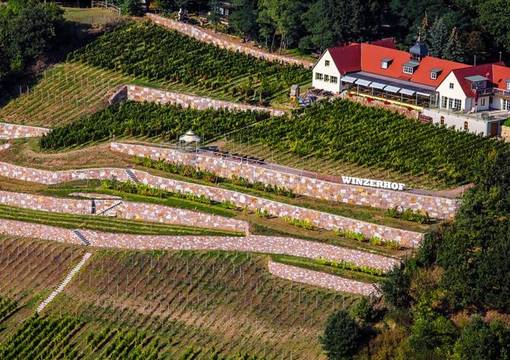 PM 147 2022 Weingut Herrenberg zu Gast im Meißner Weinpavillon