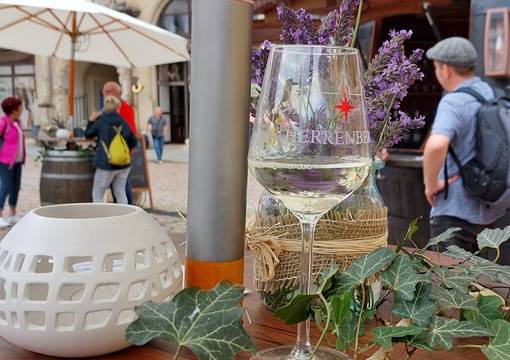 PM 183 2022 Weingut Herrenberg vom 25. bis 31. Juli im Meißner Wein Pavillon