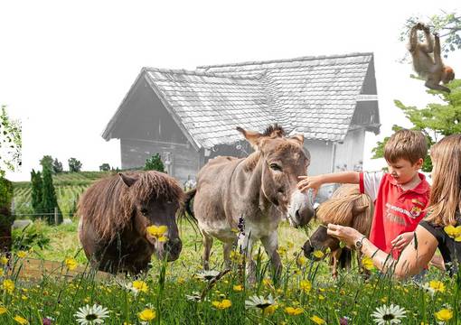 Bildausschnitt mit Kindern und Tieren