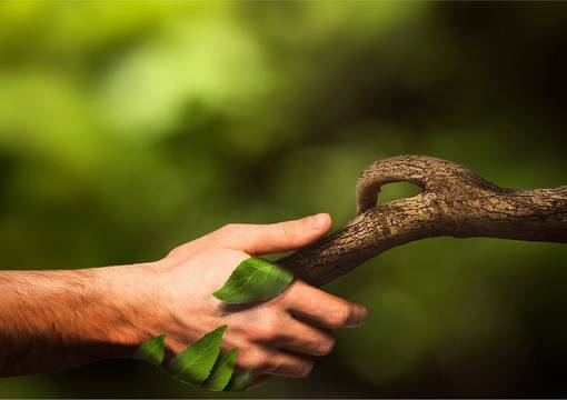 Arm und Baum geben sich die Hand vor grünem Hintergrund