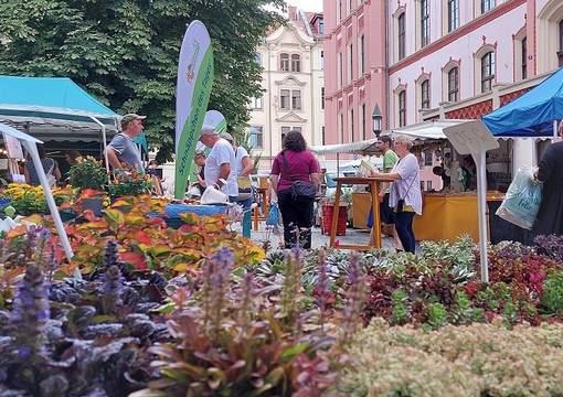 Mart mit Ständen und Besuchern sowie Topfpflanzen im Vordergrund