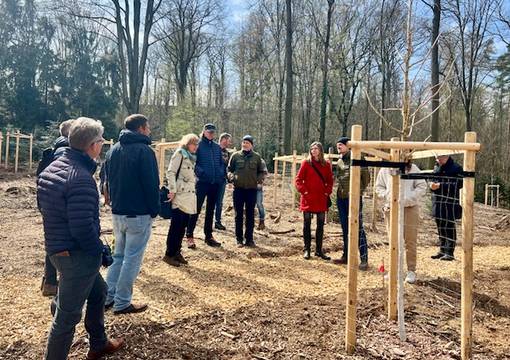 Menschen stehen nebeneinander auf braunem Waldboden vor grauen und grünen Bäumen und blauem Himmel