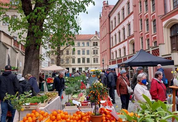 PM 97 2022 Seniorenvertretung stellt ihre Angebote auf dem Meißner Grünmarkt vor
