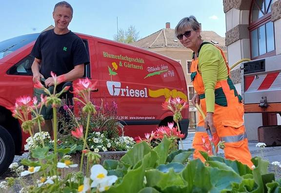 PM 116 2022 Sommerbepflanzung   Gemeinsam Meißen bunter machen