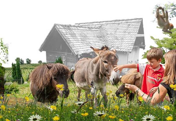 Bildausschnitt mit Kindern und Tieren