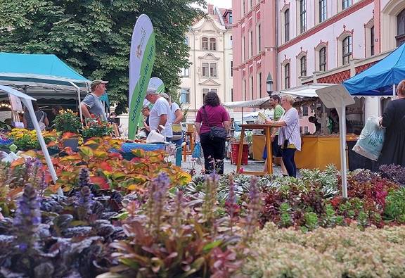 Mart mit Ständen und Besuchern sowie Topfpflanzen im Vordergrund